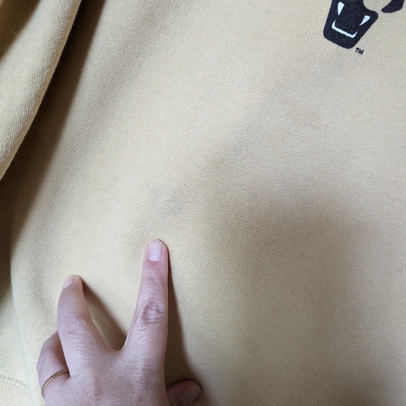 UCCS Vintage Champion Crew Neck Sweatshirt - Picture 7 of 12